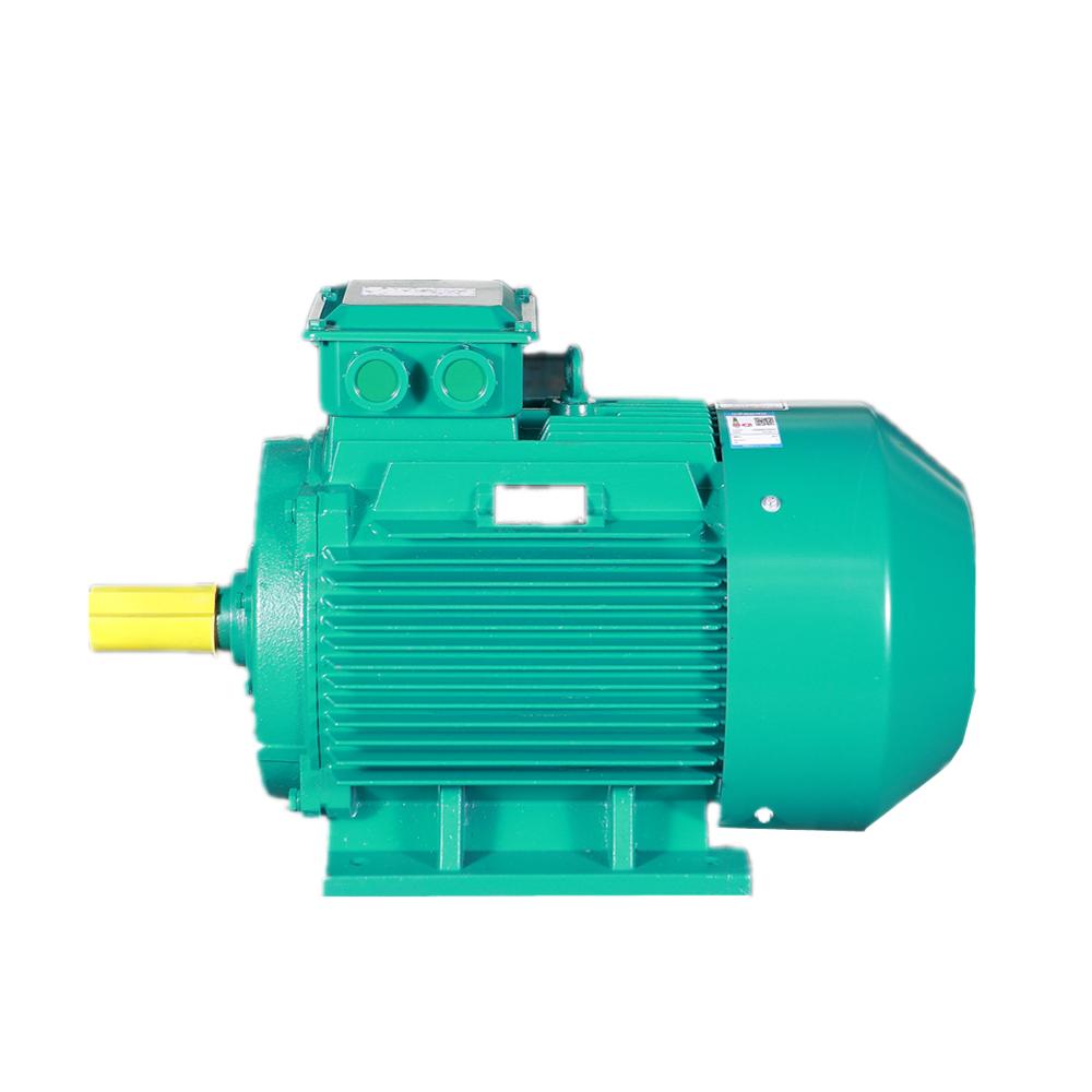 3000w 4kw 4000w 5kw 7kw Electr - Brushless Motor recension och pris